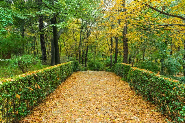 zonas verdes madrid